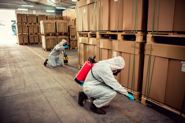 Best Termite Control Services  in Clermont, IN