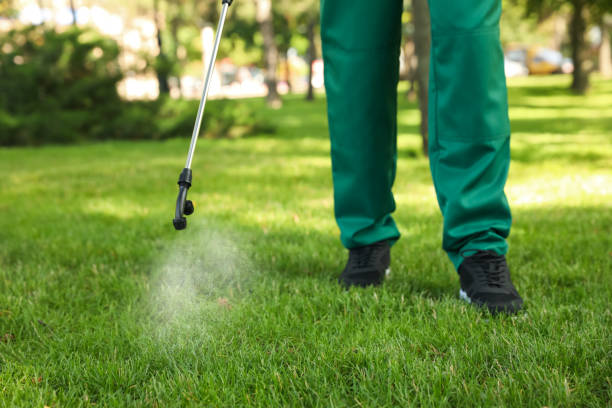 Best Pest Removal Services  in Clermont, IN