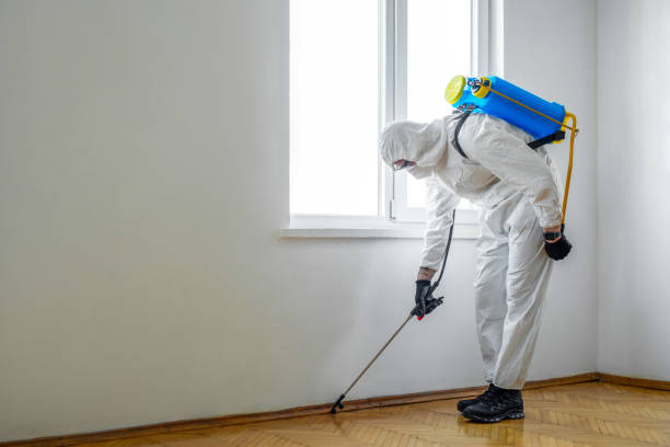 Best Pest Prevention Services  in Clermont, IN