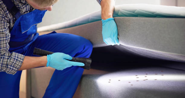 Best Emergency Pest Control  in Clermont, IN