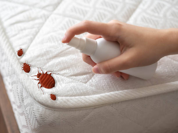 Professional Pest Control in Clermont, IN