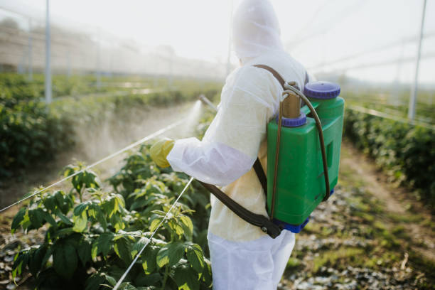 Best Mosquito Control Services  in Clermont, IN